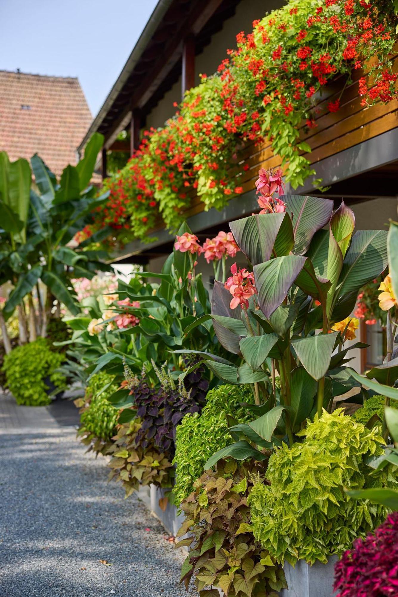 Hotel Garni Sonnenhof Reichenberg  Extérieur photo