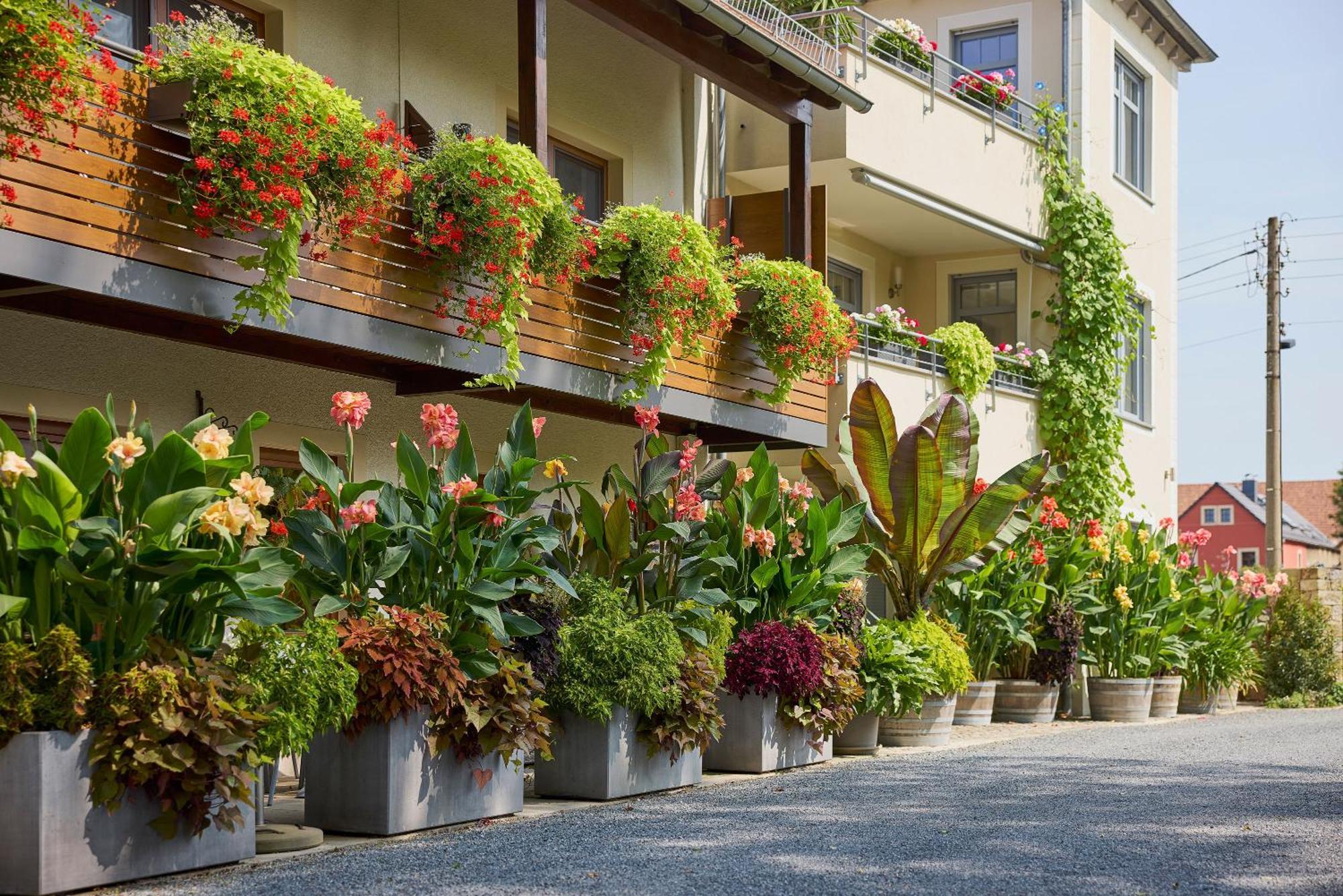 Hotel Garni Sonnenhof Reichenberg  Extérieur photo